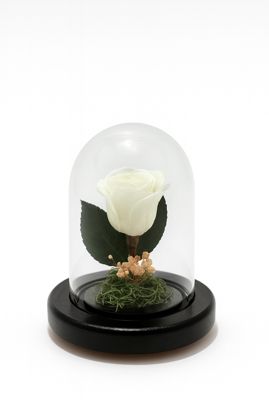 MINI ROSE LUXE