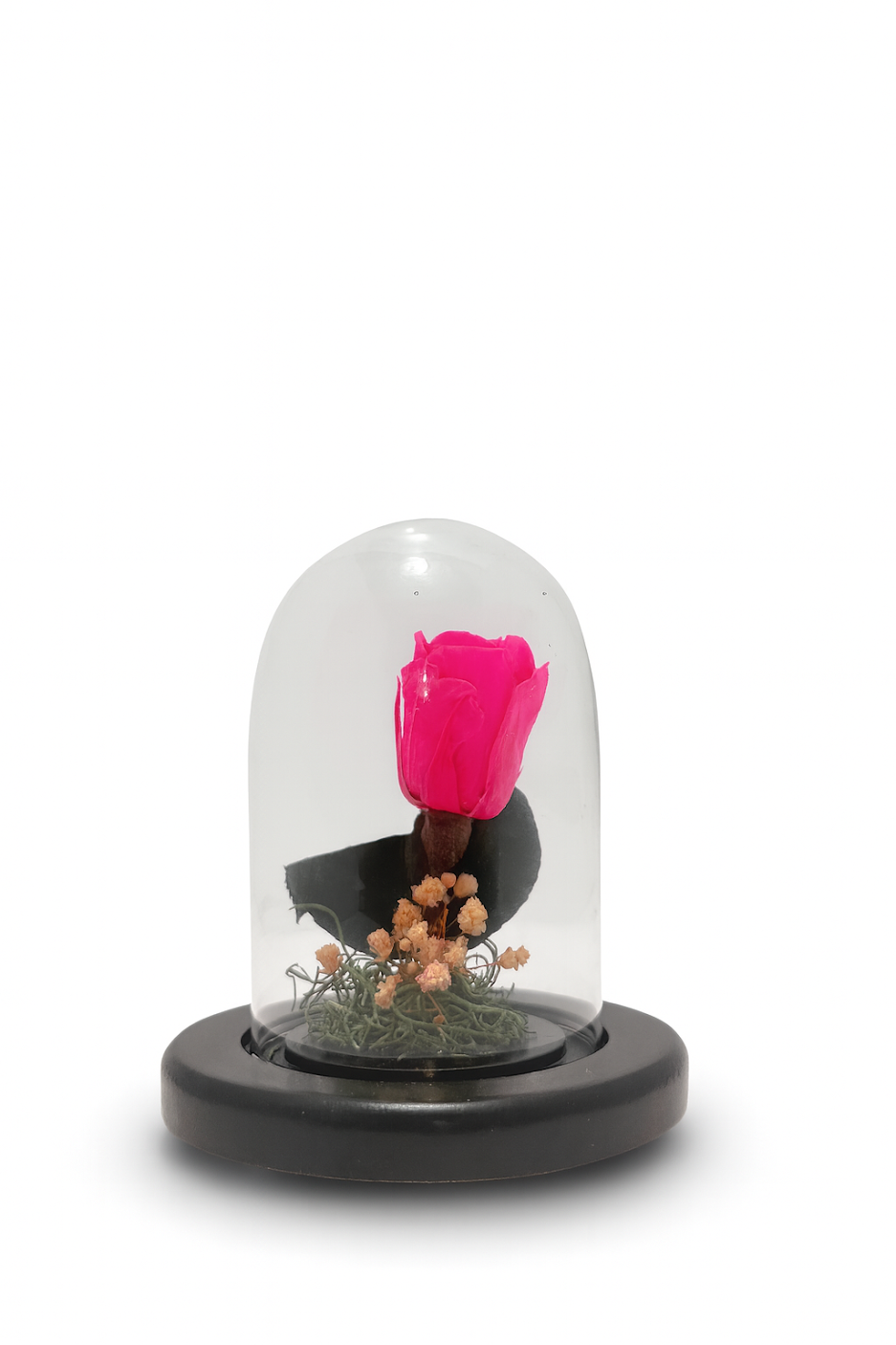 MINI ROSE LUXE