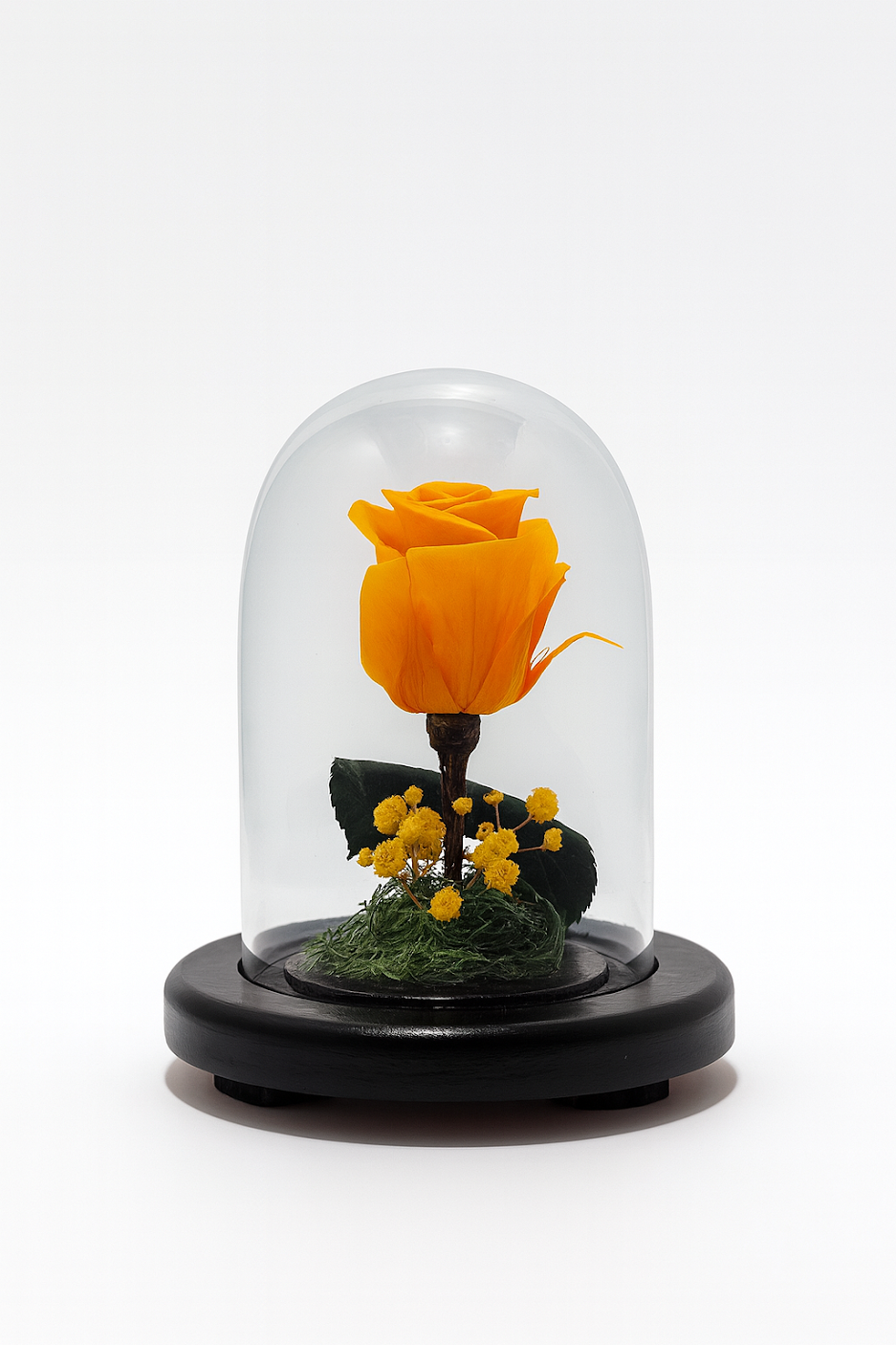 MINI ROSE LUXE